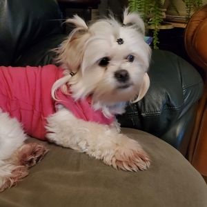 Meet your Posher, Michelle